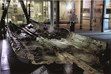 Bronze Age Boat