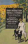 Dover Womens Land Army Museum